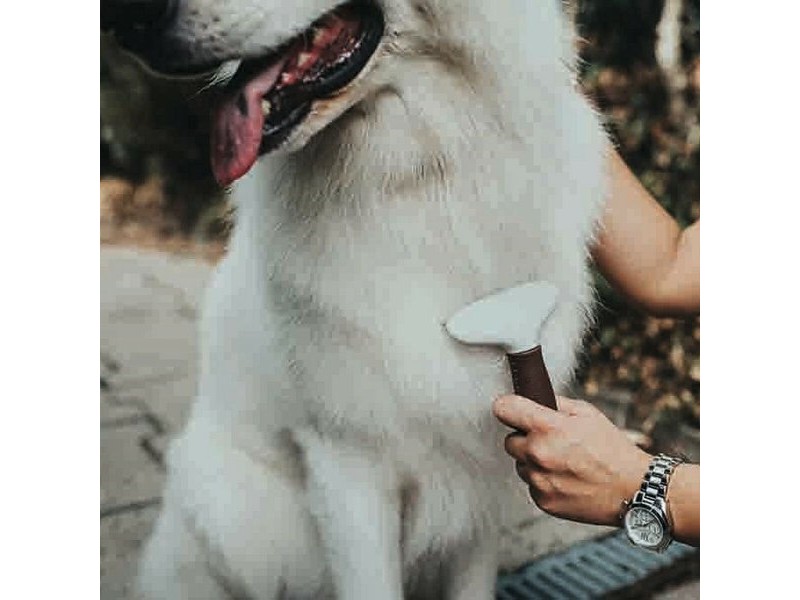 Разресваща Четка Hunter Рейка