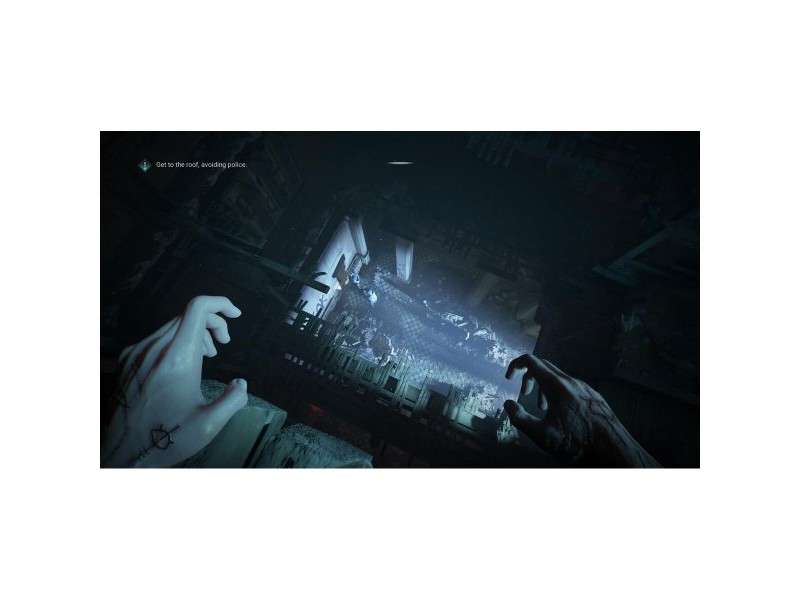 Видеоигра PlayStation 5 PLAION