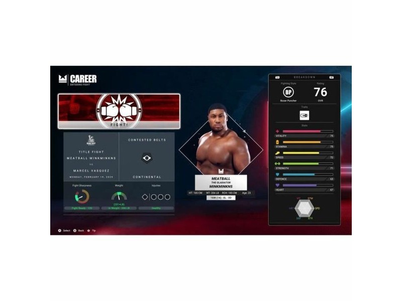 Видеоигра Xbox Series X Deep Silver Undisputed