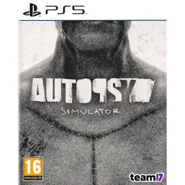 Видеоигра PlayStation 5 Just For Games