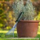 Гребло за събиране на листа BOSCH Сив Сребрист