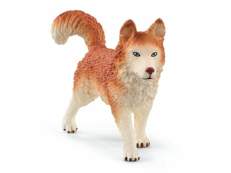Playset Schleich 42558 Wild Life Antarctica Expedition Set 16 Части 19 Части