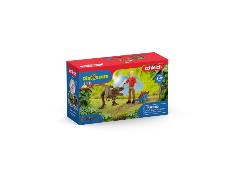 Playset Schleich 41465 5 Части