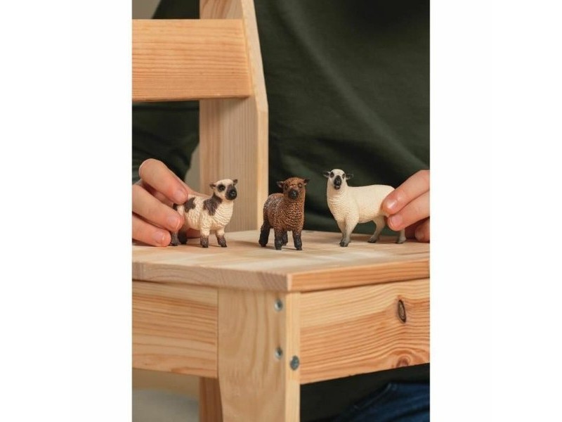 Playset Schleich 42660 FARM WORLD