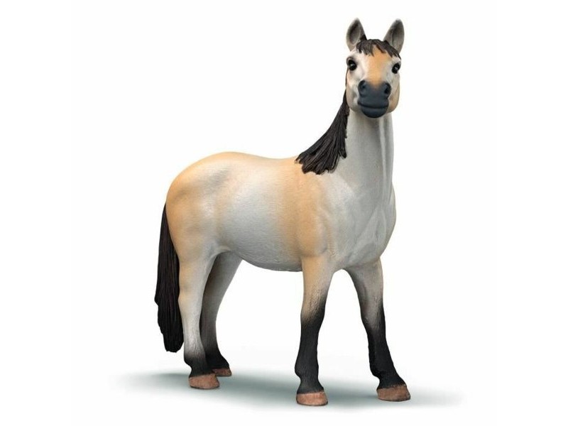 Playset Schleich 42724