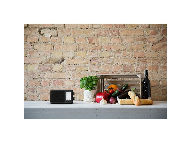 Радио преводач Sony ICF506 Черен AM/FM