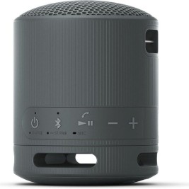 Преносими блутут колони Sony XB100 Черен