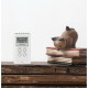 Радио Sangean DT120W BLANCO Бял