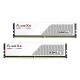 RAM памет GSKILL F5-6000J3040G32GX2-FX5W 64 GB DDR5 6000 MHz CL40