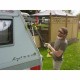 Четка за почистване Ryobi Зелен 18 V