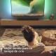Soundbar система Philips TAB5109/10 Сив 60 W