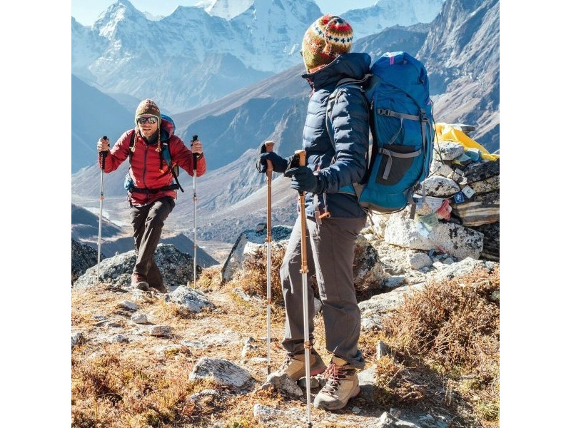 Щека Aktive (6 броя)