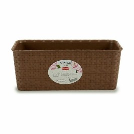 Саксия Stefanplast Кафяв PVC 13 x 11 x 28,5 cm 29 x 11 x 12,5 cm (12 броя)
