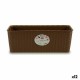 Саксия Stefanplast Бежов Пластмаса 39 x 13,5 x 15,5 cm 38,5 x 13,5 x 15,5 cm (12 броя)