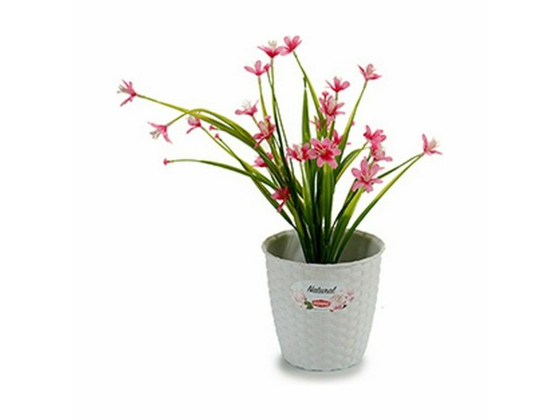 Саксия Stefanplast Бял Пластмаса 14 x 13 x 14 cm (12 броя)