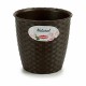 Саксия Stefanplast Пластмаса 14 x 13 x 14 cm (12 броя)