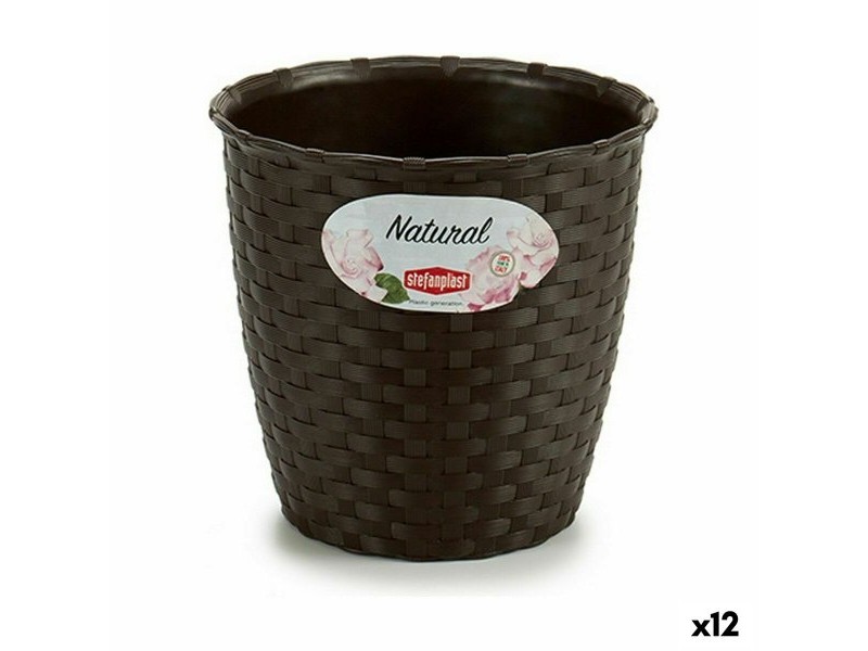 Саксия Stefanplast Пластмаса 14 x 13 x 14 cm (12 броя)