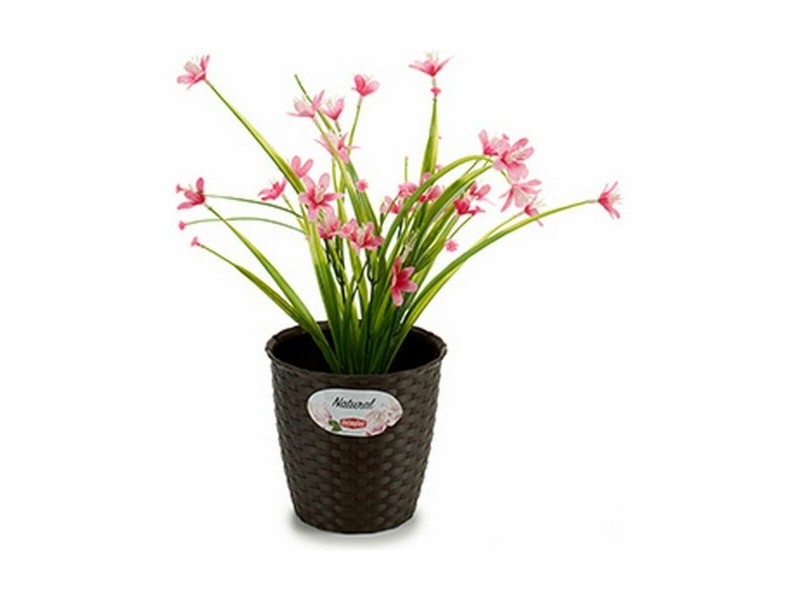 Саксия Stefanplast Пластмаса 14 x 13 x 14 cm (12 броя)