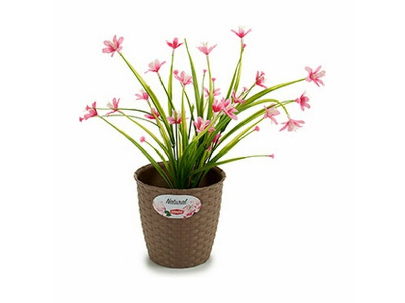 Саксия Stefanplast Кафяв Пластмаса 14 x 13 x 14 cm (12 броя)