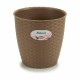 Саксия Stefanplast Кафяв Пластмаса 19 x 17,5 x 19 cm (12 броя)