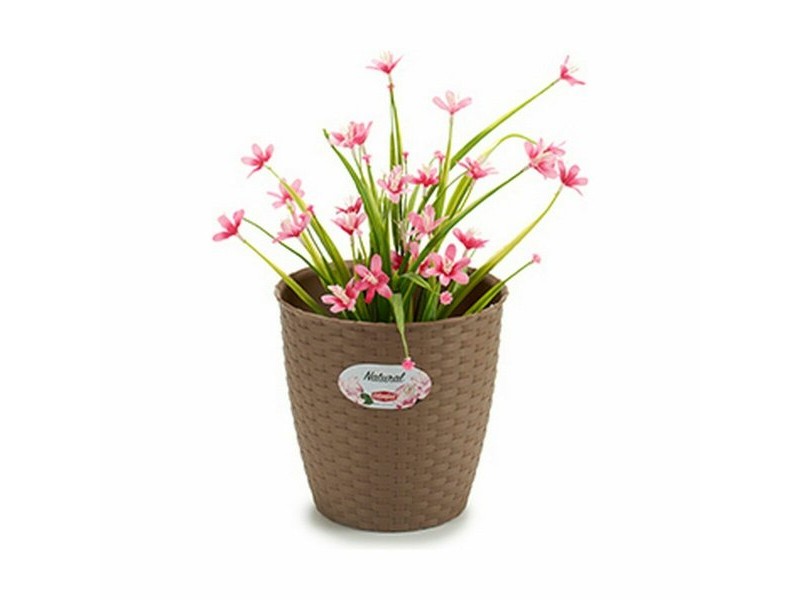 Саксия Stefanplast Кафяв Пластмаса 19 x 17,5 x 19 cm (12 броя)
