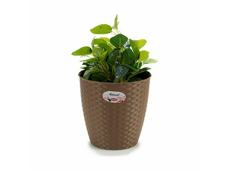 Саксия Stefanplast Кафяв Пластмаса 24 x 22,5 x 24 cm (6 броя)