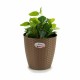 Саксия Stefanplast Кафяв Пластмаса 24 x 22,5 x 24 cm (6 броя)