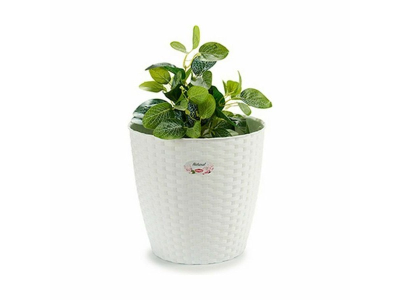 Саксия Stefanplast Бял Пластмаса 29 x 26,5 x 29 cm 29 x 27 x 29 cm (6 броя) Саксия Stefanplast Бял Пластмаса 29 x 26,5 x 29 cm 29 x 27 x 29 cm (6 броя)