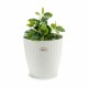Саксия Stefanplast Бял Пластмаса 29 x 26,5 x 29 cm 29 x 27 x 29 cm (6 броя) Саксия Stefanplast Бял Пластмаса 29 x 26,5 x 29 cm 29 x 27 x 29 cm (6 броя)