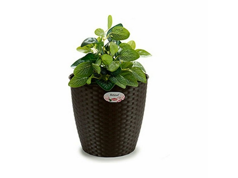 Саксия Stefanplast Пластмаса 29 x 26,5 x 29 cm (6 броя)