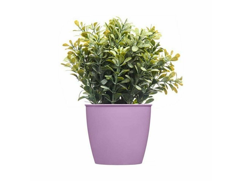 Саксия Stefanplast Academy Пластмаса 11,3 x 10 x 11,3 cm (60 броя)