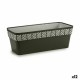Саксия Stefanplast Orfeo Антрацит Пластмаса 18 x 17 x 49,5 cm (12 броя)
