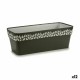 Саксия Stefanplast Cloe Антрацит Пластмаса 49,5 x 17 x 19 cm (12 броя)