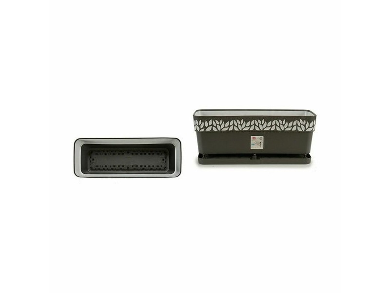 Саксия Stefanplast Cloe Антрацит Пластмаса 49,5 x 17 x 19 cm (12 броя)