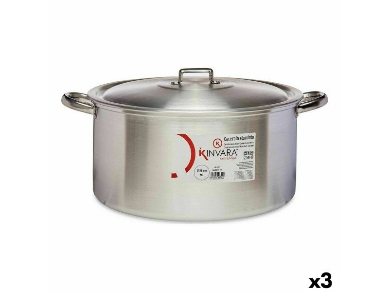 Касерола с Капак Kinvara Сребрист 20 L 51 x 23 x 41 cm (3 броя)