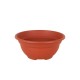 Саксия Dem Greentime Кръгъл Купа Кафяв ø 20 x 9 cm (12 броя)