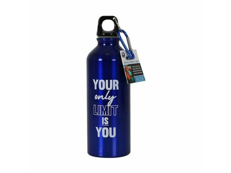 Термо Бутилката Bewinner Алуминий 500 ml 6,5 x 21 cm (12 броя)