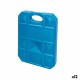 Охлаждащ Акумулатор Aktive Син 750 ml 16 x 20 x 3,2 cm (12 броя)