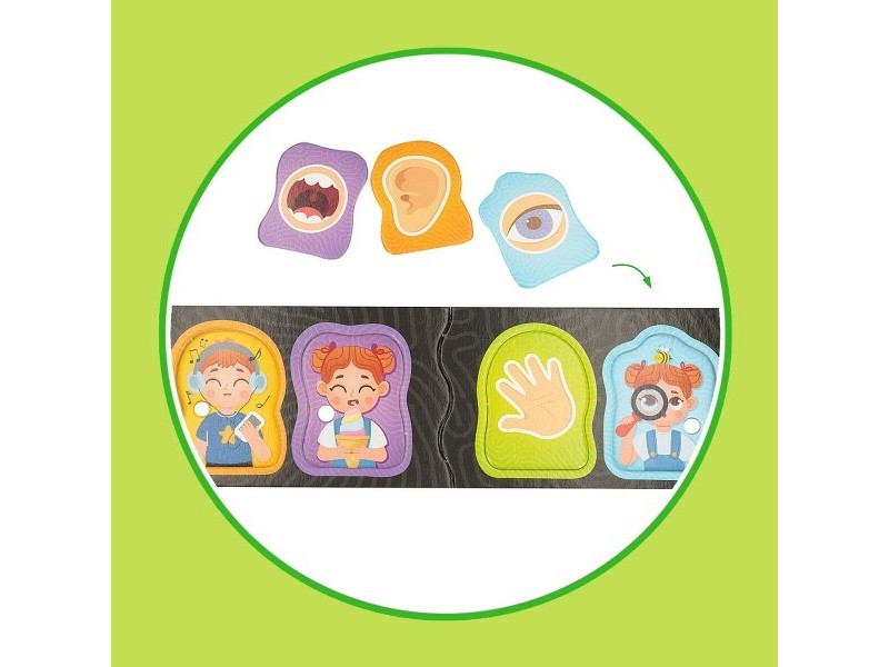 Образователна Игра Lisciani Giochi Baby Doctor 22,5 x 0,5 x 47,5 cm (6 броя)
