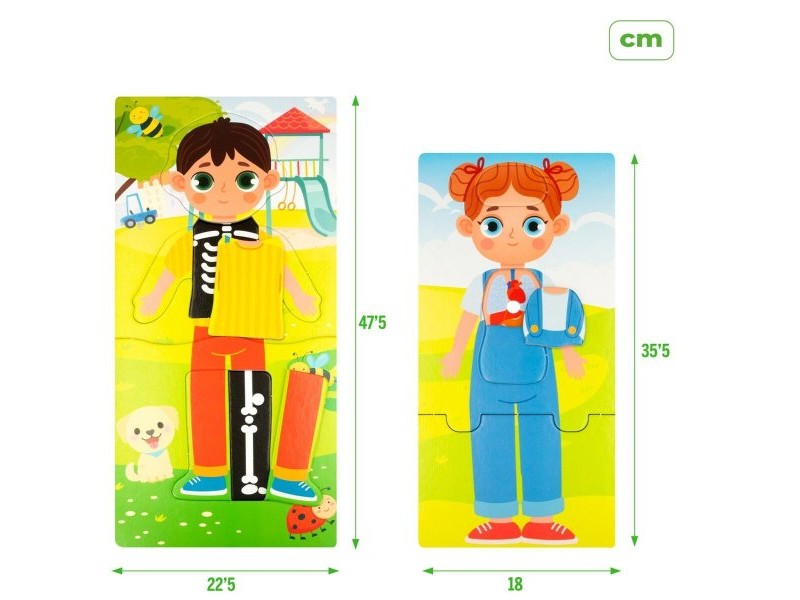 Образователна Игра Lisciani Giochi Baby Doctor 22,5 x 0,5 x 47,5 cm (6 броя)