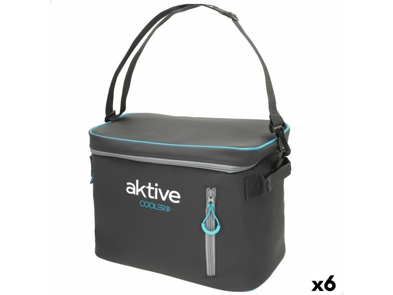 Преносима Хладилна Чанта Aktive 18 L 34 x 26 x 21 cm Черен (6 броя)