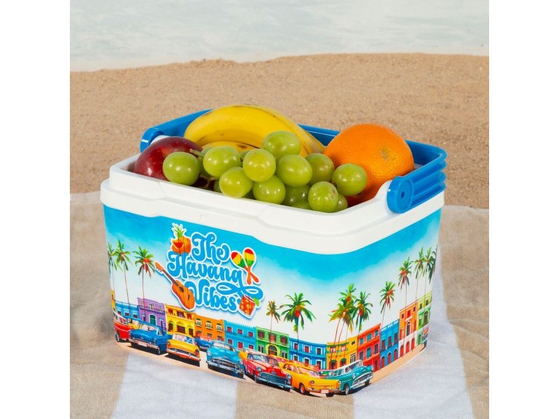 Преносима Твърда Хладилна Чанта Aktive 5 L 28 x 19 x 21 cm Син (6 броя)