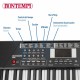 Електронно Пиано Bontempi 75 x 20 x 22 cm (2 броя)