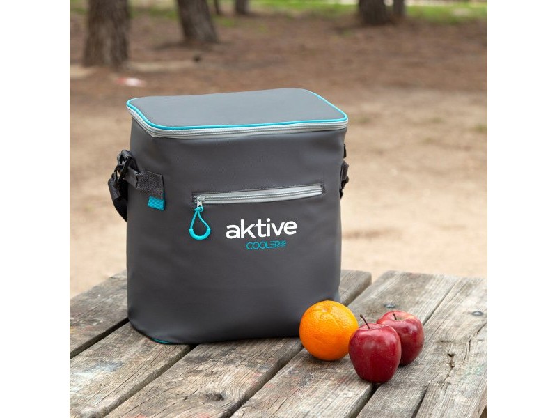 Хладилна Чанта Aktive 30 X 35 X 22 CM (6 броя)