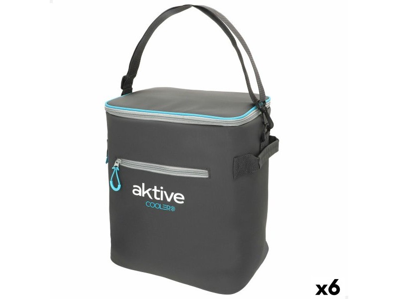 Хладилна Чанта Aktive 30 X 35 X 22 CM (6 броя)