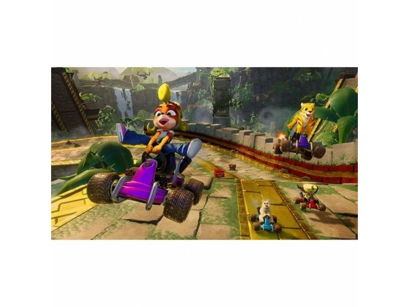 Видеоигра PlayStation 4 Nintendo CTRNF SW