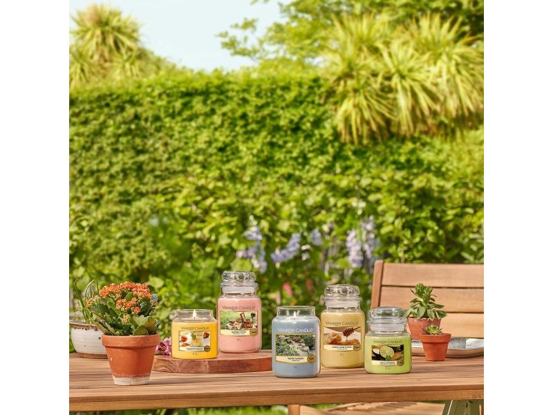 Ароматизирана Свещ Yankee Candle 10.00114.0846 Ароматизирана Свещ Yankee Candle 10.00114.0846