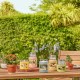 Ароматизирана Свещ Yankee Candle 10.00114.0846