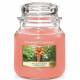 Ароматизирана Свещ Yankee Candle The Last Paradise