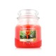 Ароматизирана Свещ Yankee Candle The Last Paradise